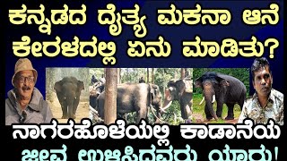 ಕರ್ನಾಟಕದ ದೈತ್ಯ ಮಕನಾ ಆನೆ ಕೇರಳದಲ್ಲಿ ಏನು ಮಾಡಿತು? ನಾಗರಹೊಳೆಯಲ್ಲಿ ಕಾಡಾನೆಯ ಜೀವ ಉಳಿಸಿದವರು ಯಾರು!