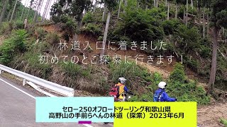 セロー250オフロードツーリング　和歌山県高野山の手前らへんの林道　その1（探索）2023年6月