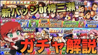 【ガチャ解説】新バッチか袴三瀬どっちが優先！？　べたまったり実況