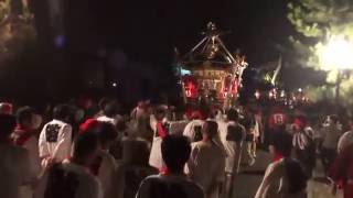 平成28年　浜降祭　鶴嶺八幡社（４社）４基宮神輿参道渡御祭礼。