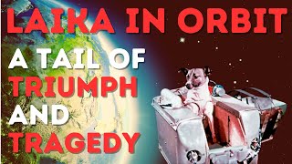 Laika in Orbit A Tail of Triumph and Tragedy