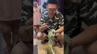 人生中第一次喂刚出生的小猫，一出生猫妈妈就抛弃了它… 喂奶又不要，喂水也不要…真的没办法😩😩 #小猫咪 #cat