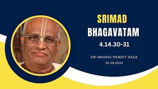 Srimad Bhagavatam | Sri Madhu Pandit Dasa | SB 4.14.30-31 | 24.09.2024