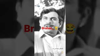 Brahmi 😂