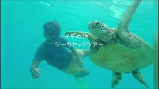 【ウミガメと泳ごう】イダの浜シーカヤックツアー！西表島