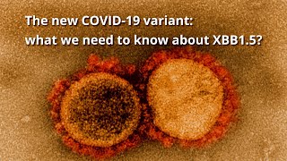The new COVID-19 variant: what we need to know about XBB1.5?