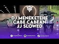 DJ MENEKETEHE X CABE CABEAN JJ SLOWED VIRAL TIK TOK TERBARU 2024 ! Xreezzz