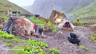 Nepali Mountain Village Life | Nepal | Organic Shepherd Food | Shepherd Life | Real Nepali Life |