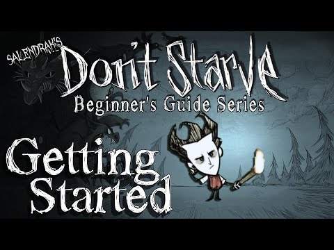 Getting Started (Don't Starve RoG Beginner's Guide Series)