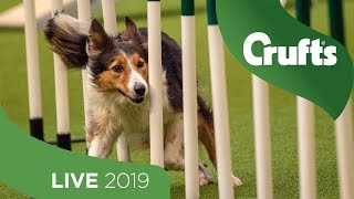 Crufts 2019 Day 1 - Part 1 LIVE
