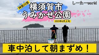 【神奈川県横須賀市】うみかぜ公園に車中泊して朝まずめのをする。#横須賀の人気釣りスポット#色んな魚が釣れる