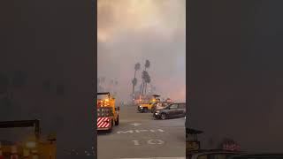 Here's the scene from the PCH Highway as the Palisades fires tear through SoCal.#citizen #wildfire