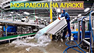 Работа на АЛЯСКЕ  | РЫБНЫЙ ЗАВОД 🏭 | Закрытие летнего сезона