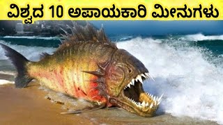 ವಿಶ್ವದ  10 ವಿಷಪೂರಿತ  ಮೀನುಗಳು.. #vismayavani #entertainment #charitre