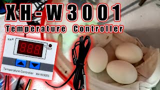 XH-W3001 Temperature Controller for DIY Egg Incubator KURYENTECH