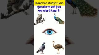 ऐसा कौन सा पक्षी है जो एक आंख से देखता है #gk #gkquiz #gkinhindi #shorts #kanchanstudystudio