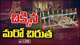 LIVE: తిరుమల నడకదారిలో చిక్కిన నాలుగో చిరుత | Fourth leopard Caught on Tirumala Steps Way | 10tv