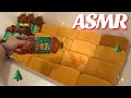 🌲🌲 ASMR Gallons Of Mini Pine Sol + Grout Sponges 🌲🌲