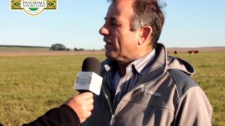 Panorama Agropecuario N°336/2 Festuca Cond.y Dir.Ing.Agr.Hernán Viera