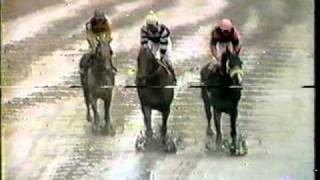 Slew o' Gold - 1984 Woodward Stakes (CBS)