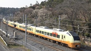 E653系1000番台（いなほ塗装）常磐線に里帰り