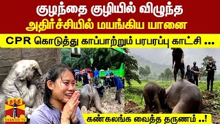 குழந்தை குழியில் விழுந்த அதிர்ச்சியில் மயங்கிய யானை CPR கொடுக்கும் பரபரப்பு காட்சி ... |  Thailand