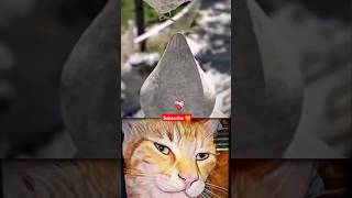 GIVE THIS VIDEO A TITLE 😺#shorts #popular#viral