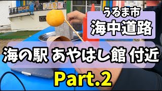 ＜海中道路＞＜ 海の駅あやはし館＞ へと行ってきました。Part2も付近の映像です。「カメタス」の「チーズボール」を頂きました！│うるま市│okinawa│ブラジル料理│沖縄│伊計島