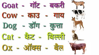 Pet Animals Name Hindi and English | पालतू जानवरों का नाम | Pet Animals Name in Hindi and English