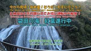 (補足は字幕で）袋田の滝　紅葉進行中　今から見頃！　秋本番！　そうだ！大子へ行こう！土休日はときわ路パスでお得に運転から解放！