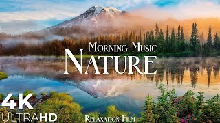 Morning Relaxing Music - Nature Relaxation Film 4K - Peaceful Relaxing Music - Video UltraHD
