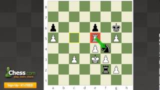 Chess Tactics: Crucial Defenders!