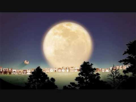 꿈이 있는 자유 - 소원 꿈이 있는 자유 - 소원