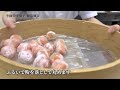 季節の和菓子ういろう「初ちぎり」 wagashi 和菓子職人