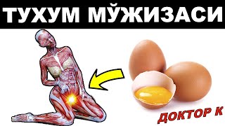 ХАР КУН ТУХУМ ЮТСА ОРГАНИЗМГА НИМА БЎЛИШИНИ БИЛАСИЗМИ ?