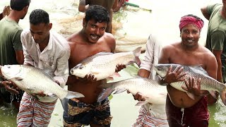 বাবু ভাইয়ের ২ বছরের কচা কচা মাছ | Project Natural Fishing BD | 2024