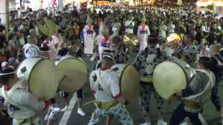 【徳島市阿波踊り2017】苔作 大岩食品前 8月13日