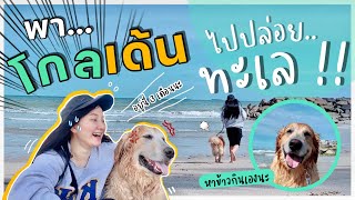 พาโกลเด้น ไปปล่อยทะเล | พาหมาเที่ยวทะเล ครั้งแรกตื่นเต้นมาก !! (EP.12)