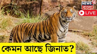 LIVE | Tiger Zeenat Rescue | কেমন আছে জিনাত ? সারাদিনে কী খেল ? |Bangla News