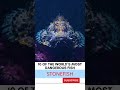 10 most dangerous fish in the world: STONEFISH, fishing planet, ultimate fishing simulator 2 #shorts