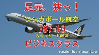 Singapore Airlines 787-10 Dreamliner Business Class Review, シンガポール航空 787-10 ビジネスクラス、足元超狭かった！