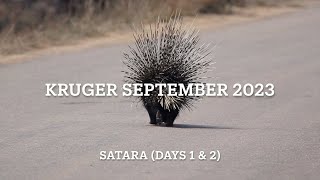 Kruger September 2023 -  Satara (Days 1 \u0026 2)