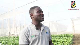 GHANADISTRICTS TV | AKUAFO MMERE: NINGO PRAMPRAM – GREENHOUSE ENTERPRISE PROJECT