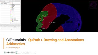CIF Tutorials | QuPath : Drawing annotations and arithmetics