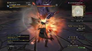 ＤＤＯＮ　黒騎士　盾ソロ　1分３８秒６３