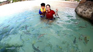 Fish Feeding at the Beach (SHANGRI-LA Mactan Cebu Philippines, Dec.2022)