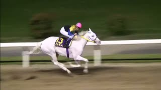 関東オークス 1着ユキチャン号 （武豊騎手）（個人撮影） 2008年6月18日（水） 川崎競馬場