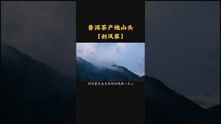 十大名山頭之—易武刮風寨，原始森林的瑰寶，名字由來十分妙！#茶友可以加我wechat:zcj049 #送茶葉壹斤茶具壹套 #普洱茶