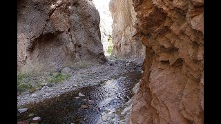 Mineral Creek Trail - A Spectacular Canyon Hike