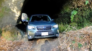 三密とは無縁の林道散策ツーリングPart 2（牛堀の奇岩の道） 【Forester trail road フォレスターSJ5林道を往く】 千葉県市原市 2021年2月